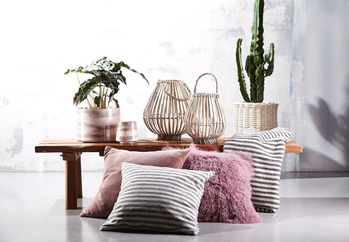 Pure Culture 16.11.07 Spring 1711509