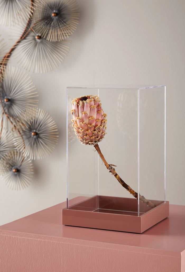 Mojoo 17.12.12 SS 183619