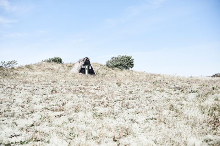 Helene Inhouse Portfolio 2020.287