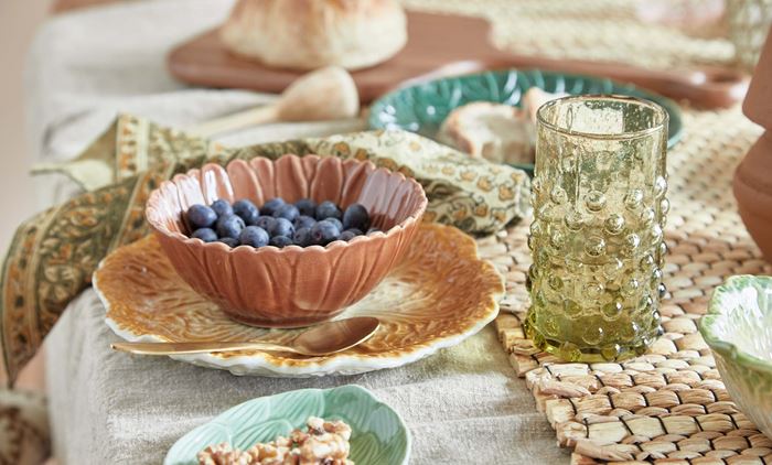 Blooming Ville 22.01.13. Miljøoptagelser4601